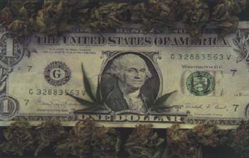 funky-dollar-bill